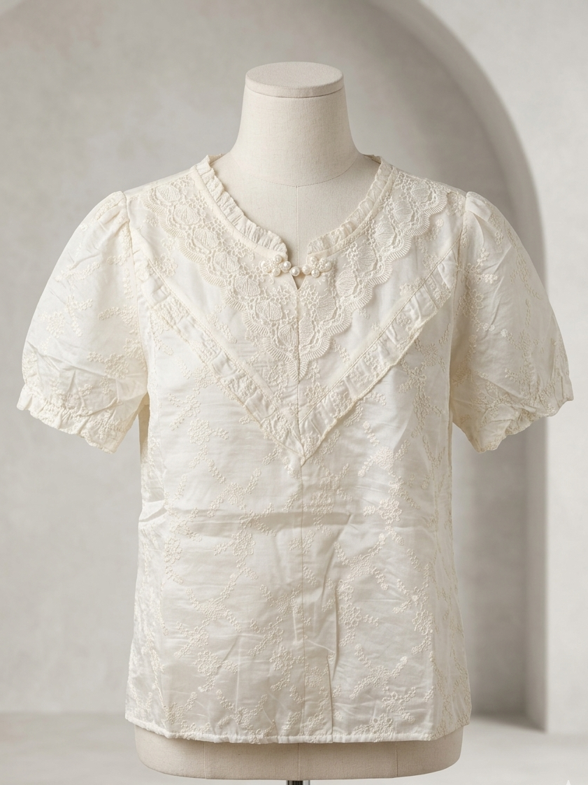 Elegant Ethnic-Contemporary Top
