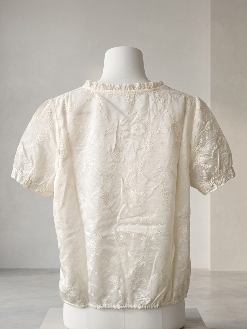Elegant Ethnic-Contemporary Top